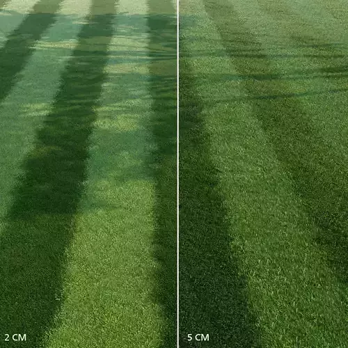 Mowed Lawn 3D model