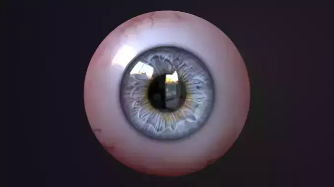 Photorealistic human eye Low-poly 3D model