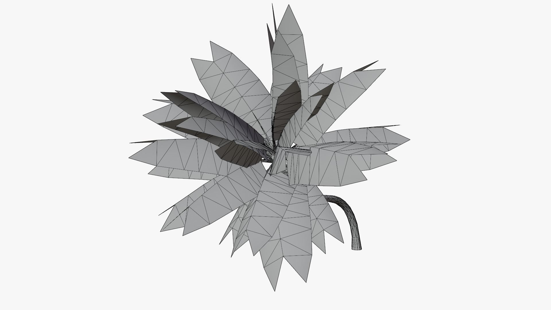 Lowpoly Coconut Palm v3 Low-poly 3D model_14