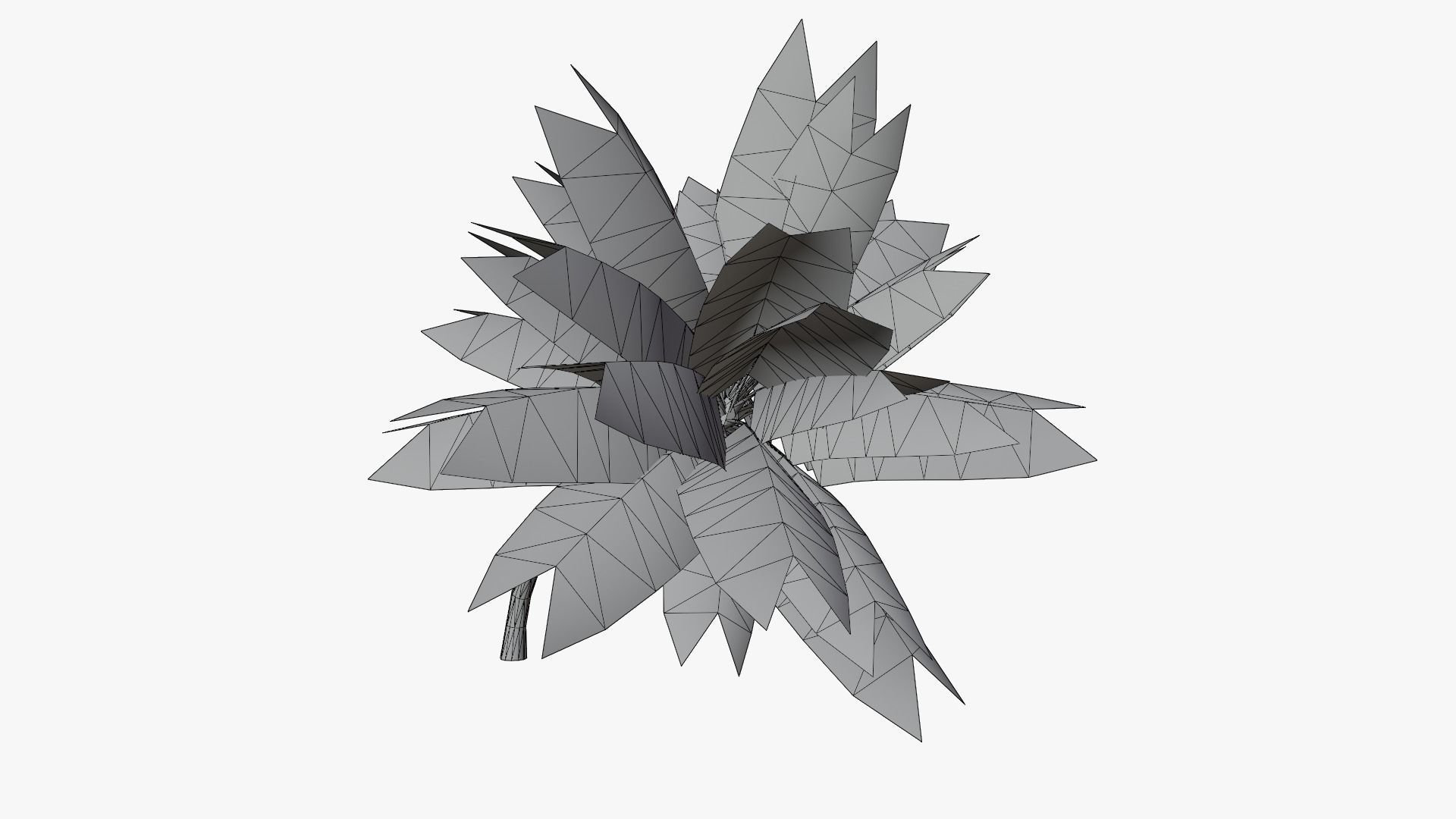 Lowpoly Coconut Palm v3 Low-poly 3D model_17