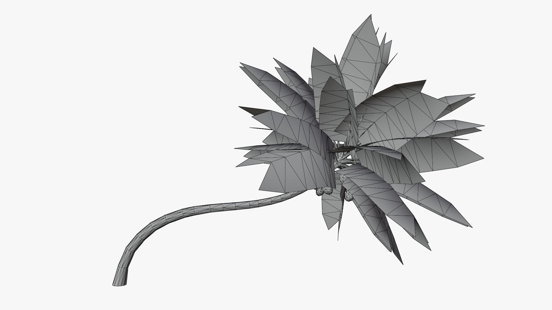 Lowpoly Coconut Palm v3 Low-poly 3D model_2