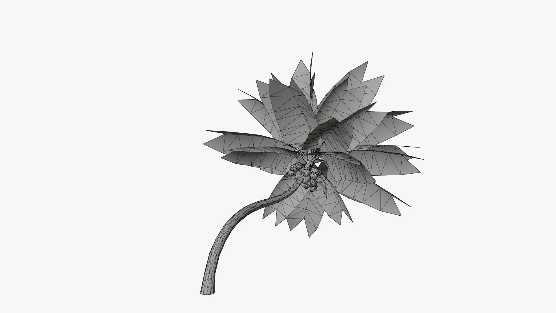 Lowpoly Coconut Palm v3 Low-poly 3D model_5