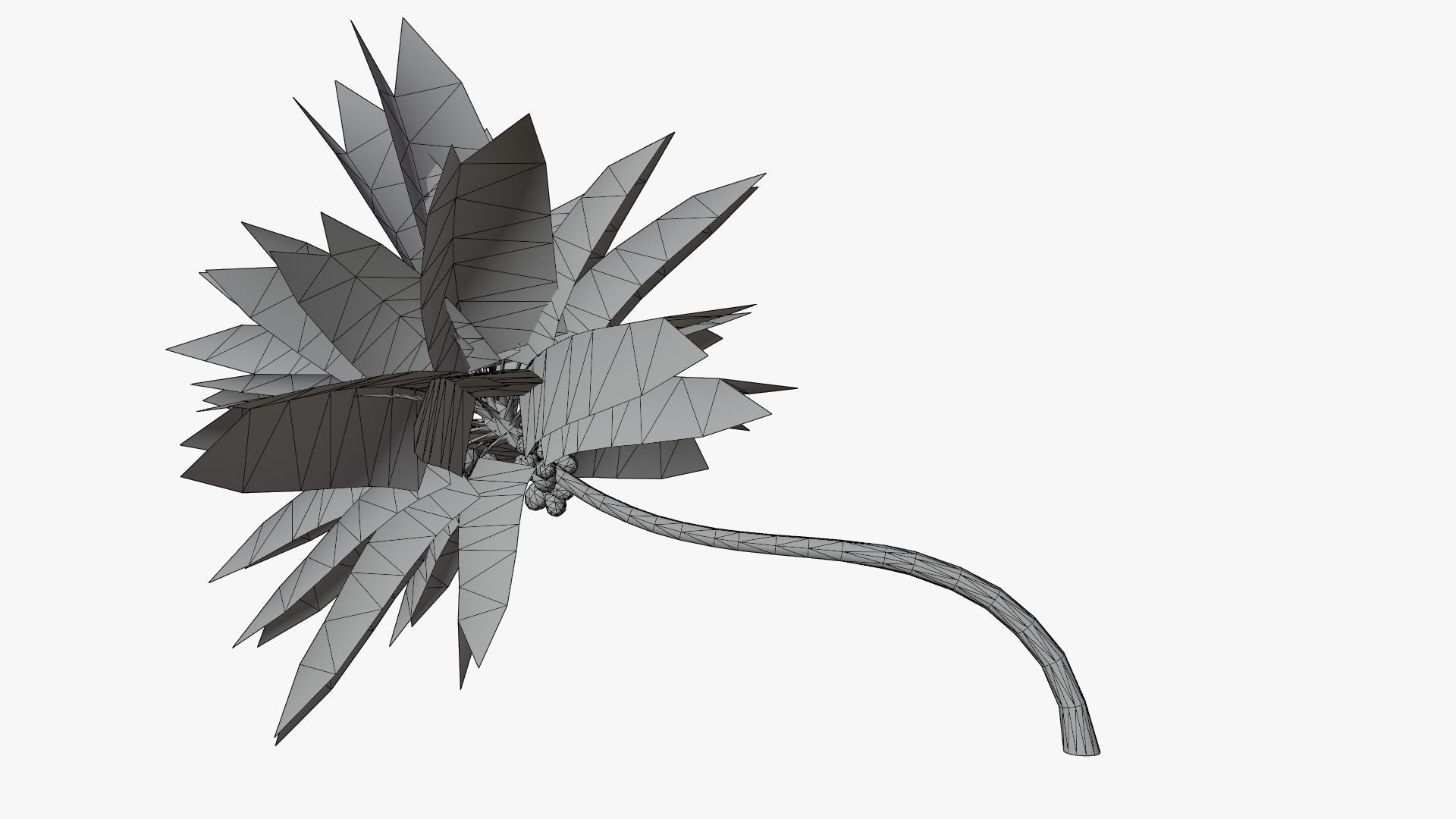 Lowpoly Coconut Palm v3 Low-poly 3D model_11