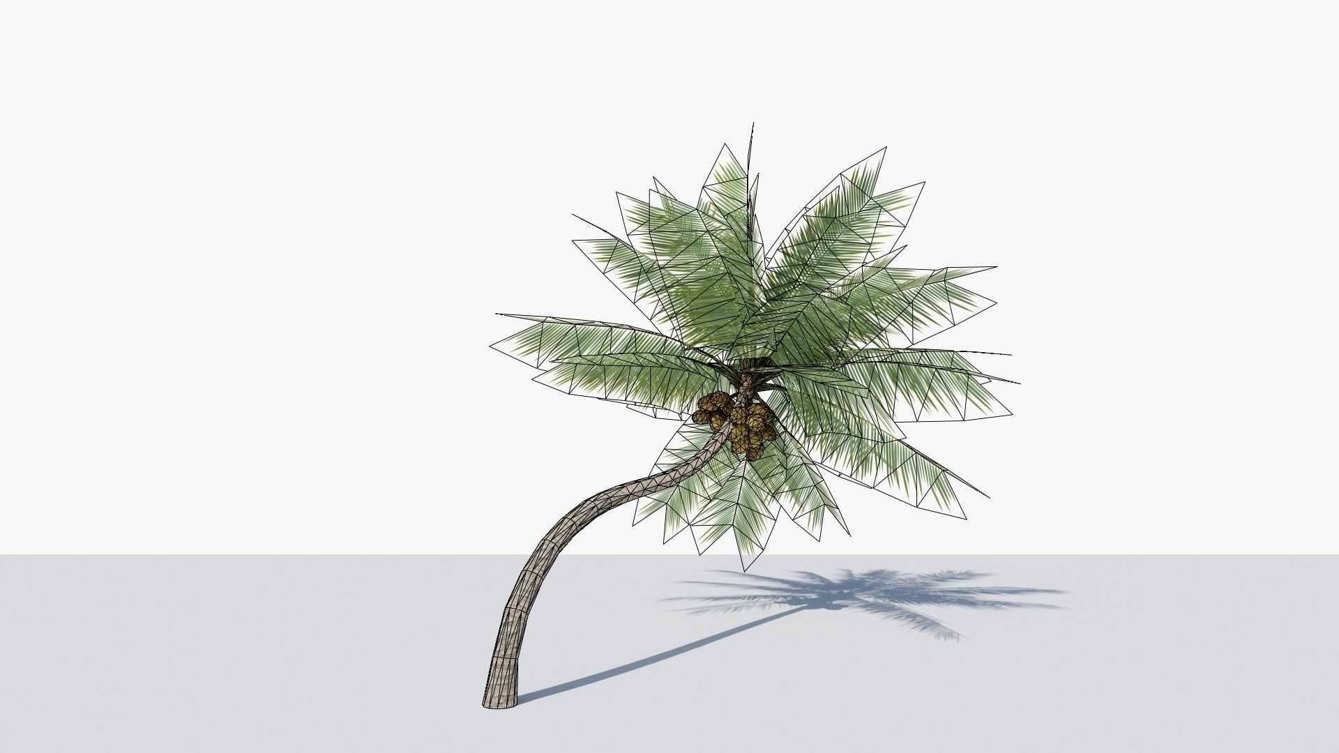 Lowpoly Coconut Palm v3 Low-poly 3D model_4
