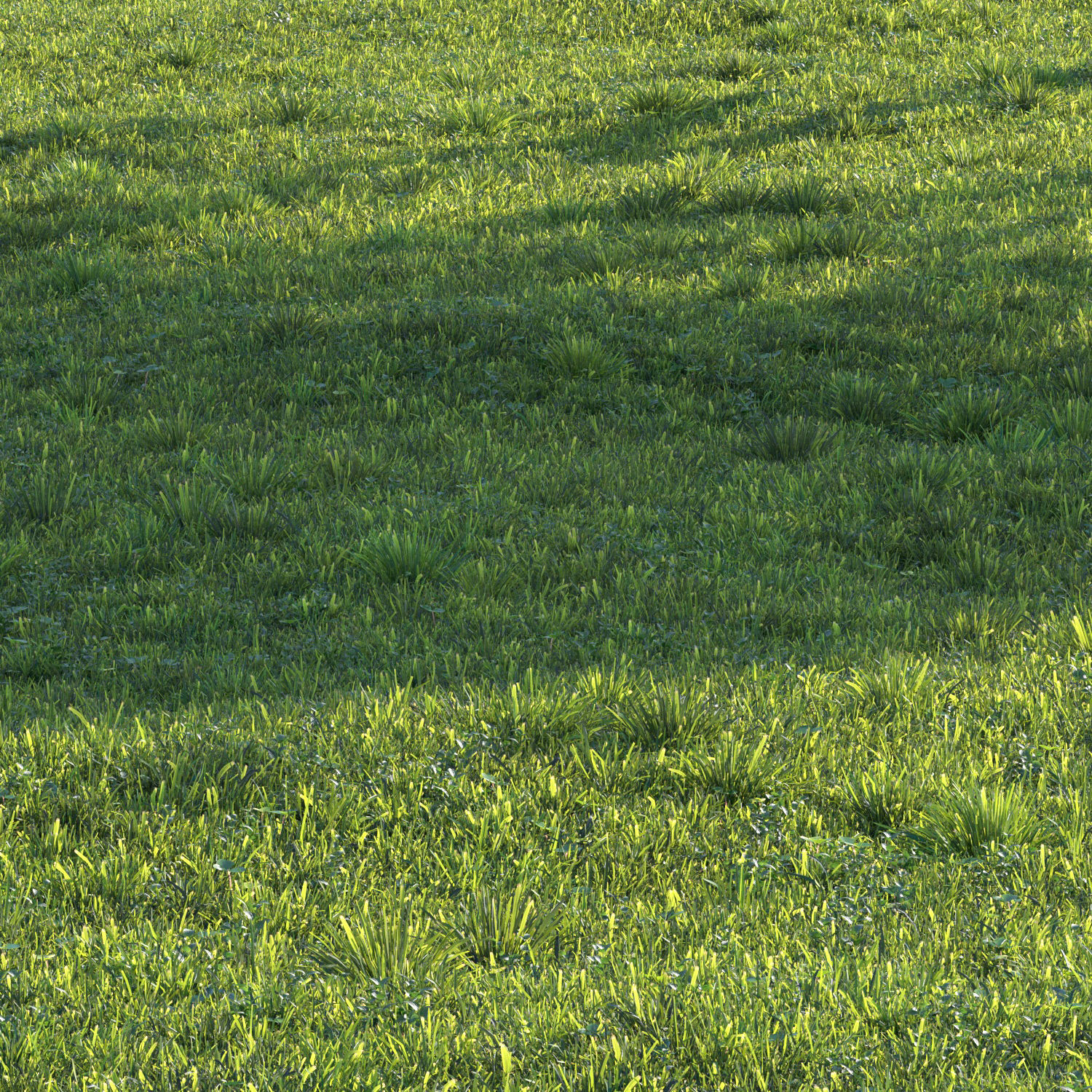 grass set 06 3D model_1