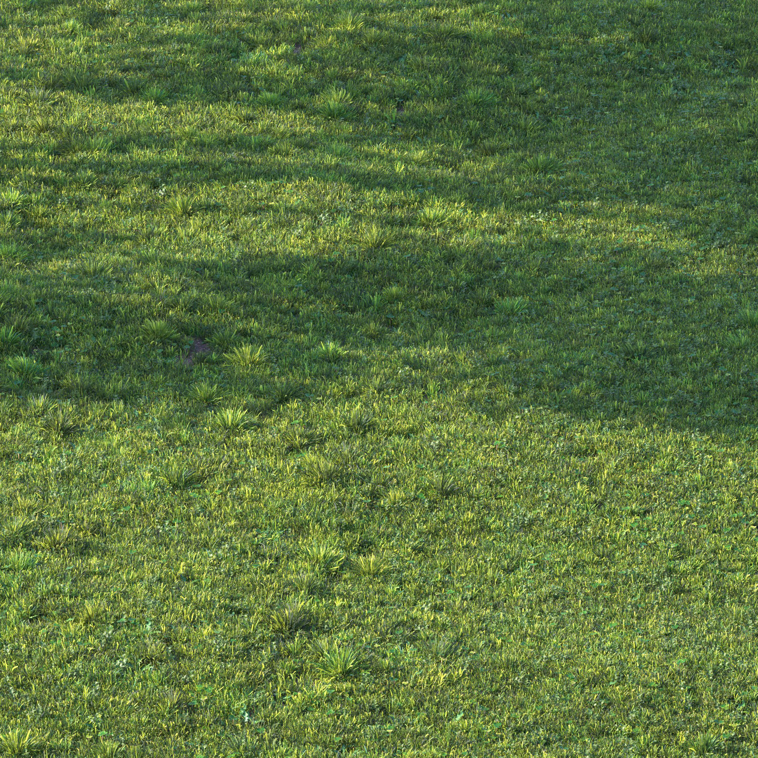 grass set 06 3D model_4