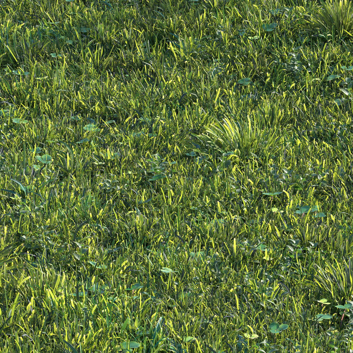 grass set 06 3D model_3