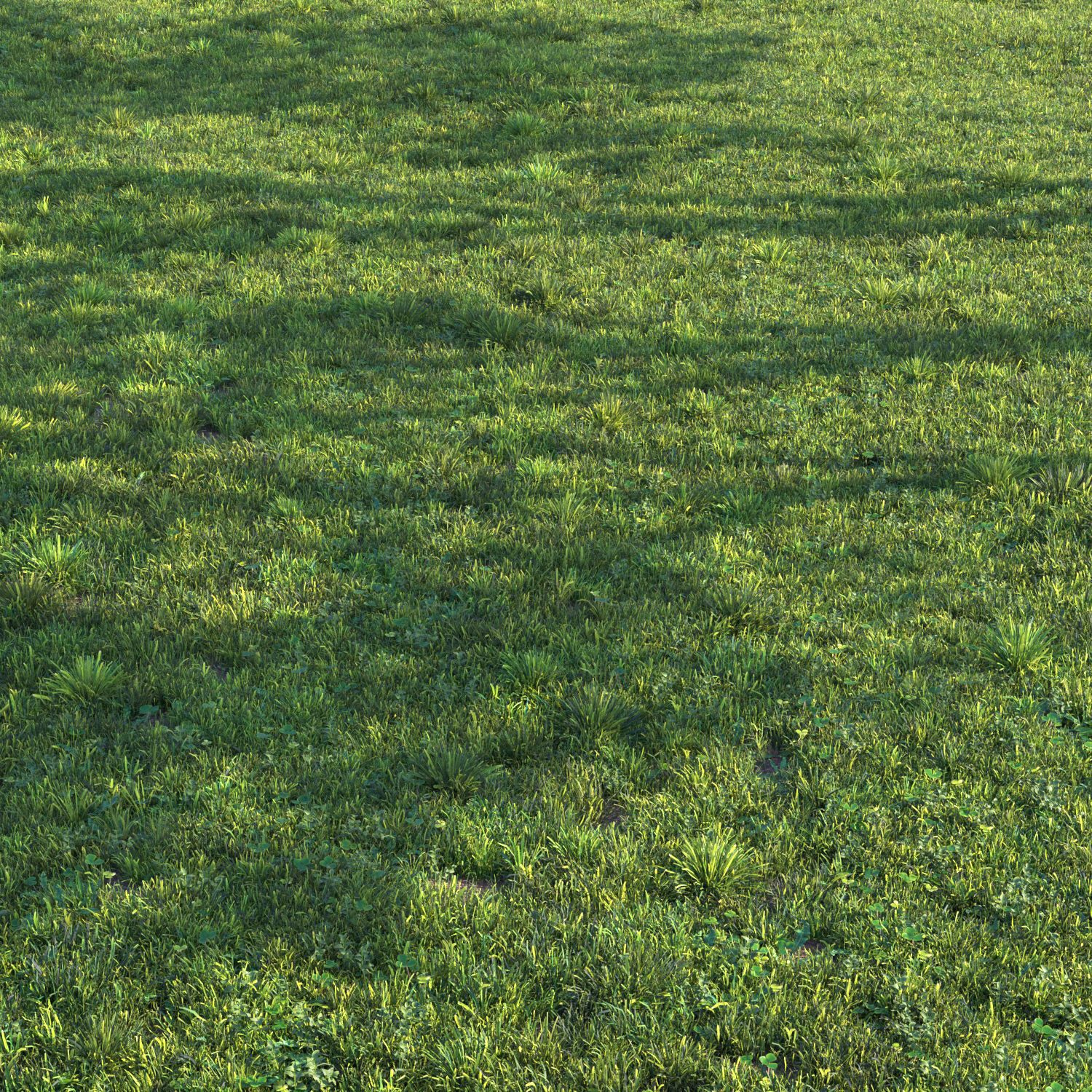 grass set 06 3D model_5