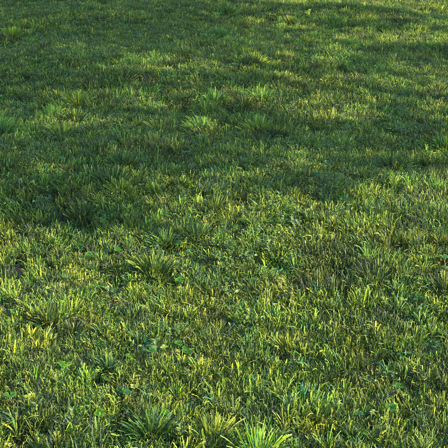 grass set 06 3D model_2