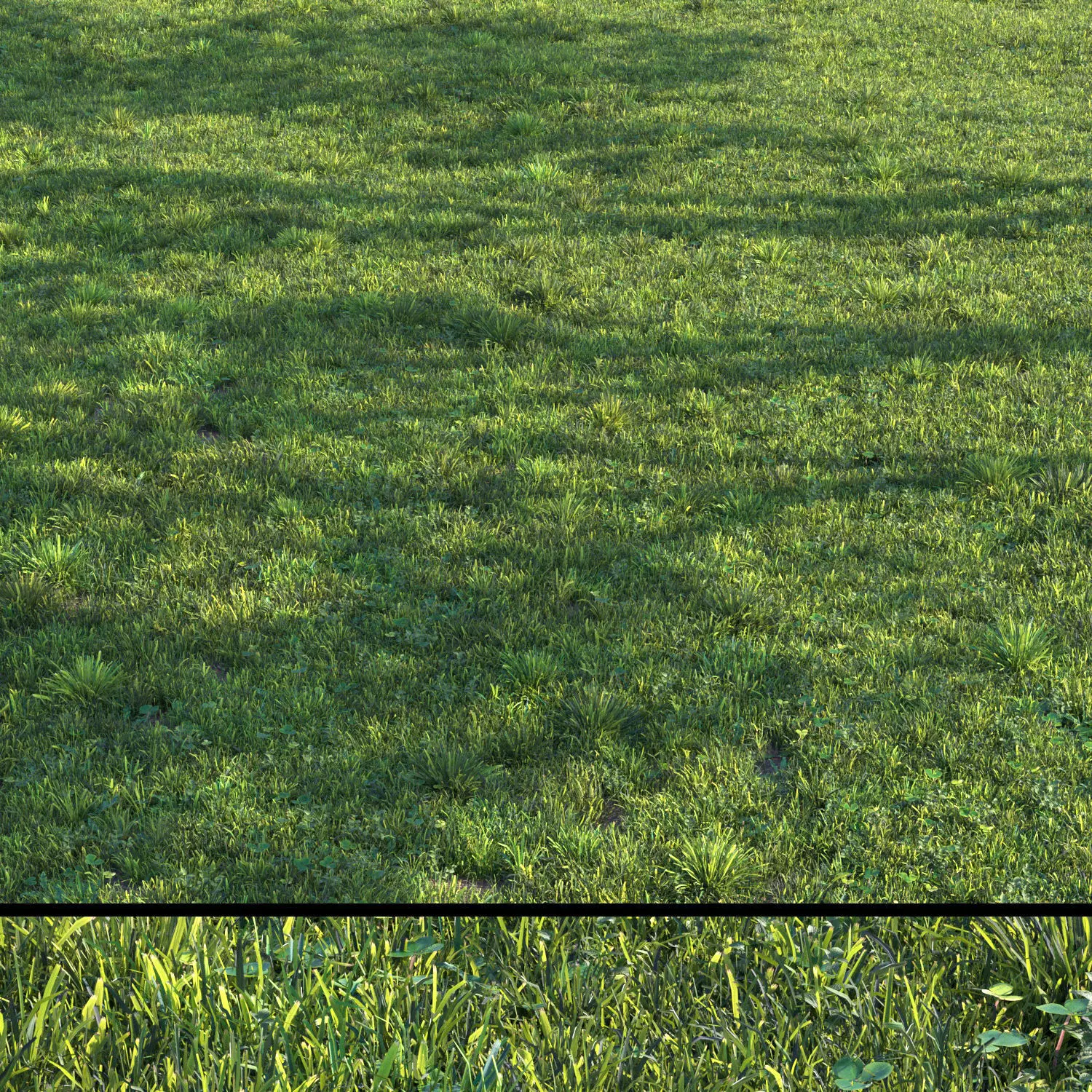 grass set 06 3D model_0
