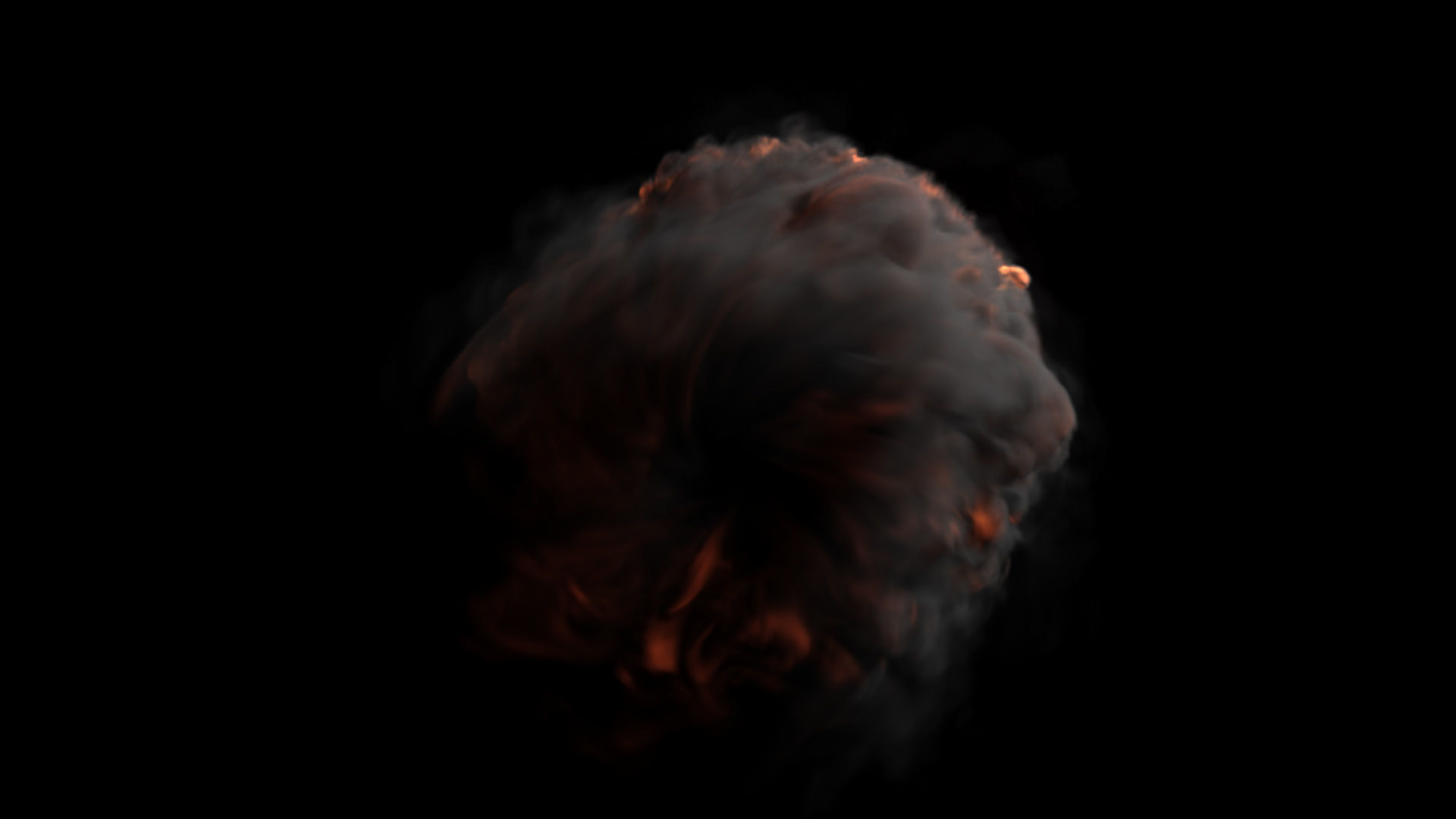 Fire Gate VDB looping sequence 10s  3D model_25