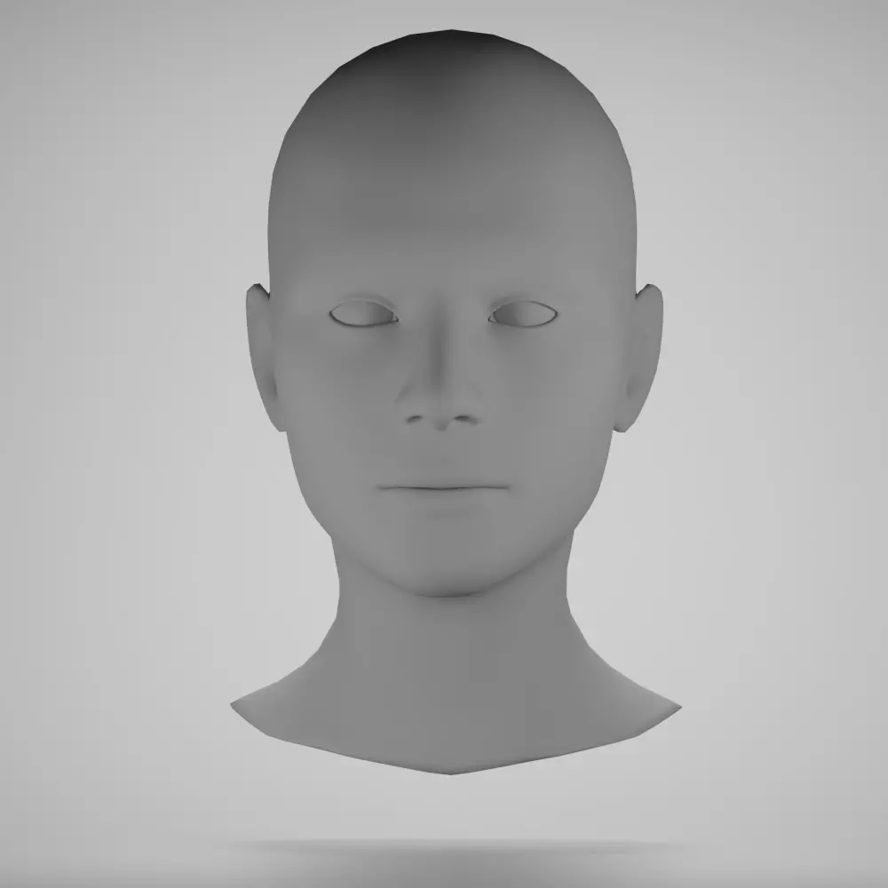 Female head base mesh 2 3D model