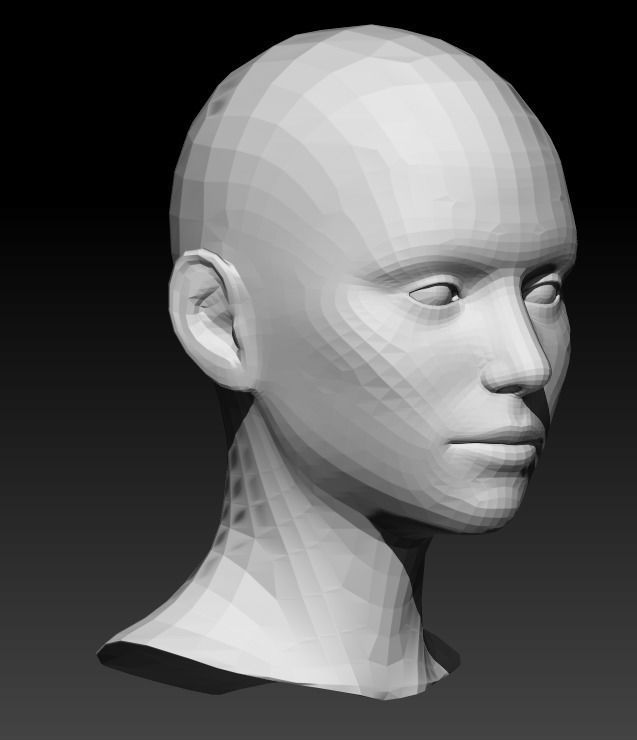 Female head base mesh 15 3D model_6