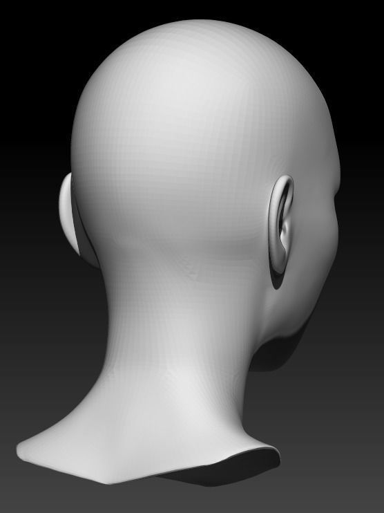 Female head base mesh 15 3D model_4