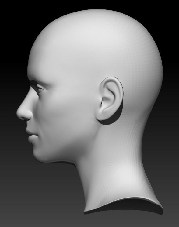 Female head base mesh 15 3D model_3