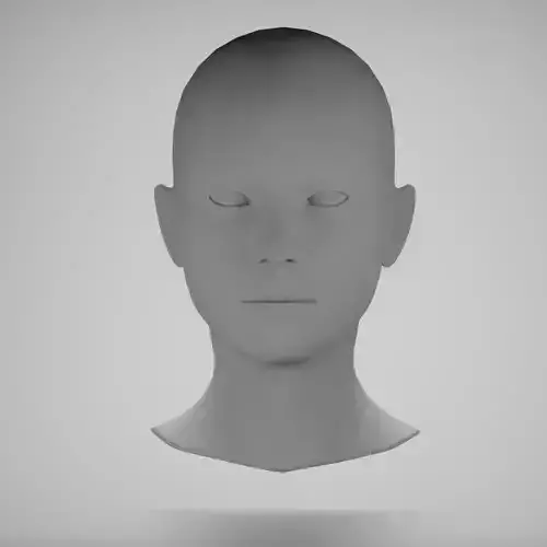 Female head base mesh 17 3D model