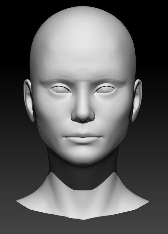 Female head base mesh 18 3D model | CGTrader