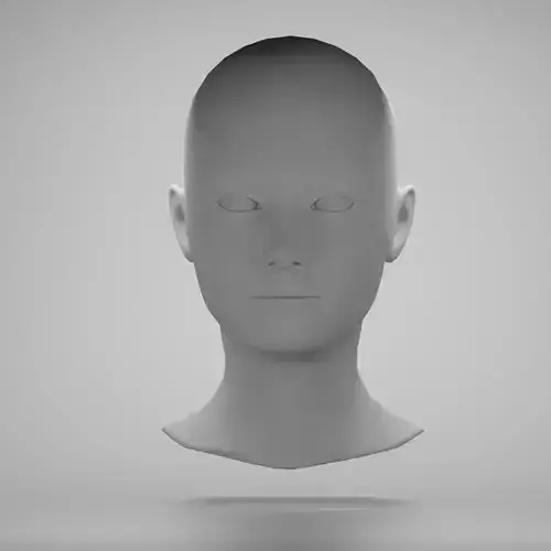 Female head base mesh 19 3D model