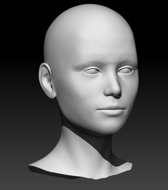 Female head base mesh 21 3D model_5