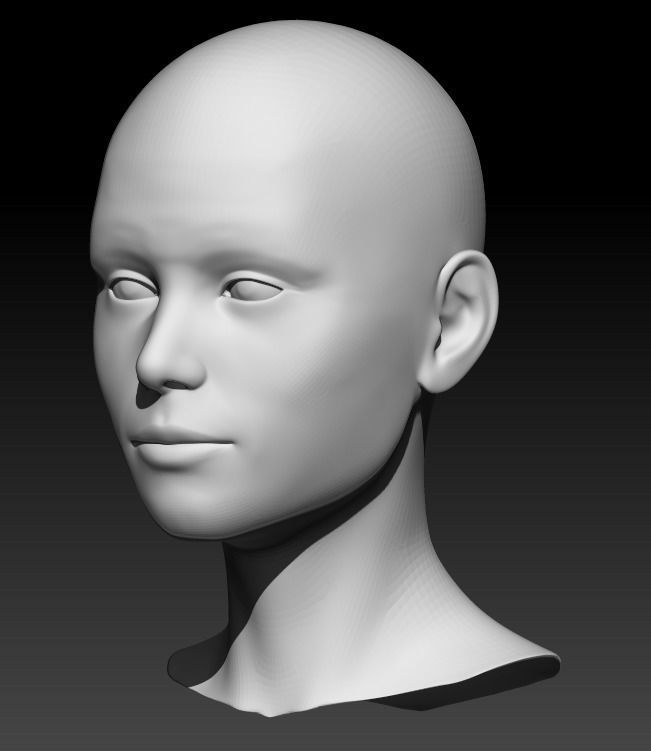 Female head base mesh 21 3D model_2