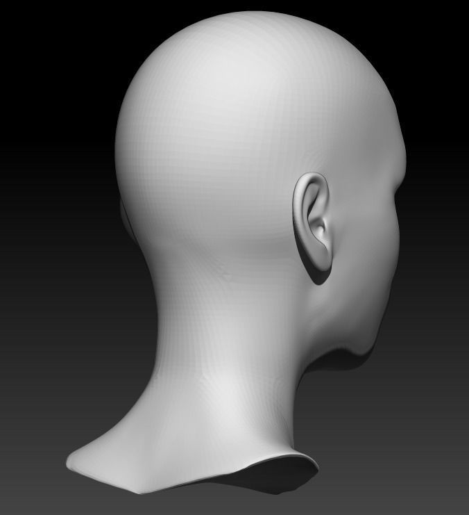 Female head base mesh 21 3D model_4