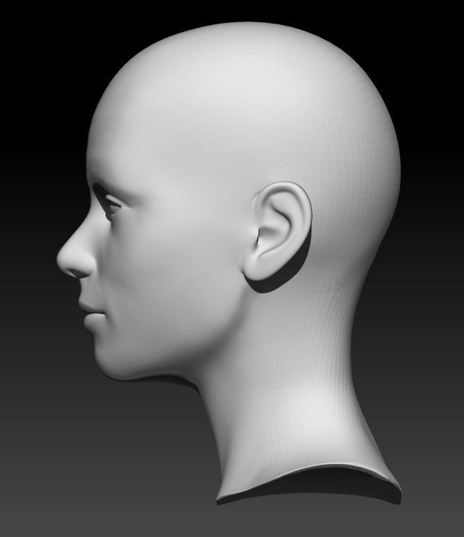 Female head base mesh 21 3D model_3