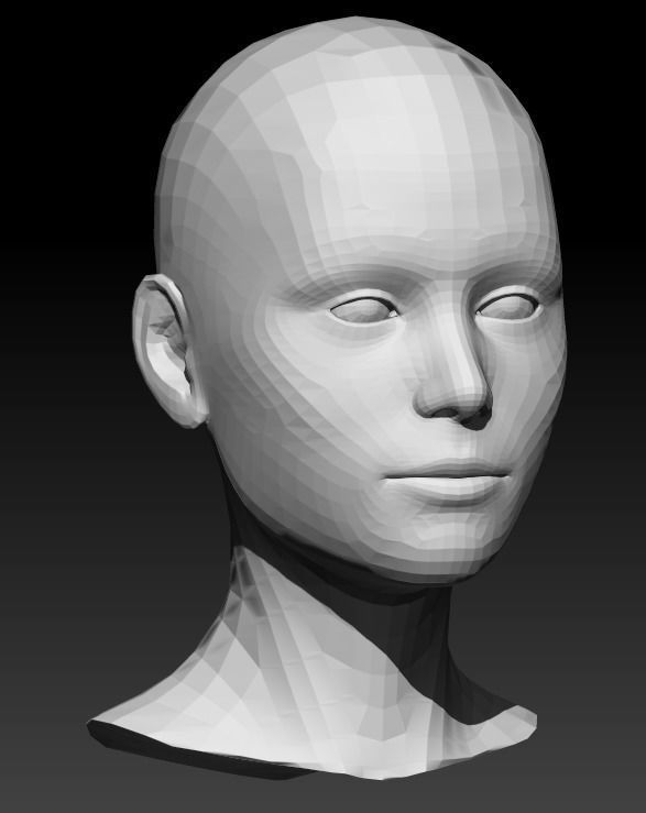 Female head base mesh 21 3D model_6