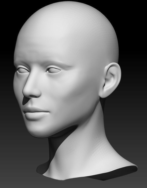 Female head base mesh 22 3D model_2