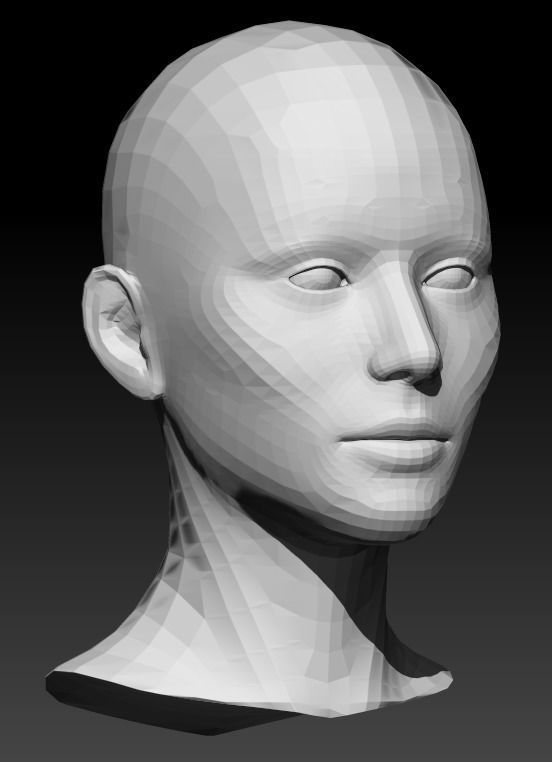 Female head base mesh 22 3D model_6