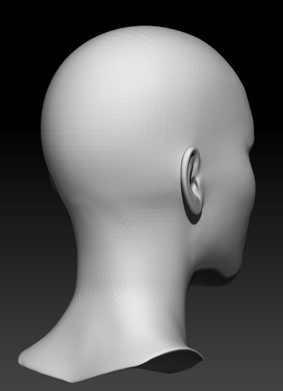 Female head base mesh 22 3D model_4