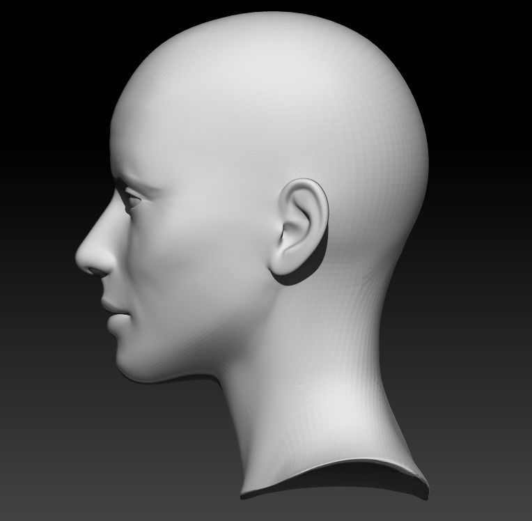 Female head base mesh 22 3D model_3
