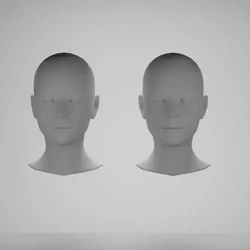 Female head base mesh 3D Model Collection