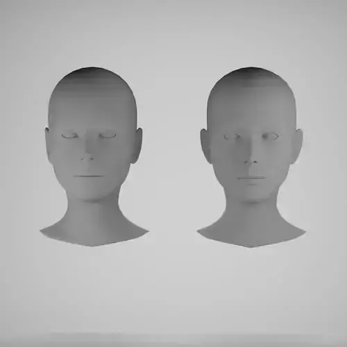 Female head base mesh 3D Model Collection