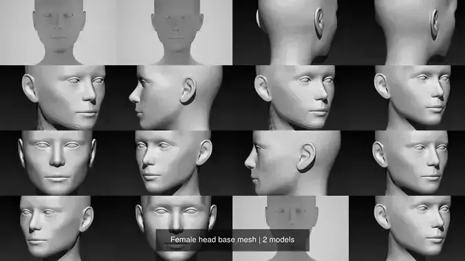 Female head base mesh