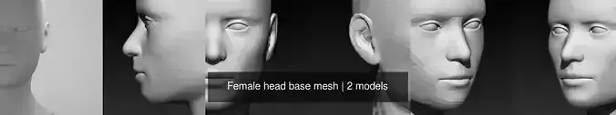 Female head base mesh