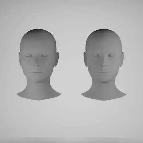 Female head base mesh 3D Model Collection