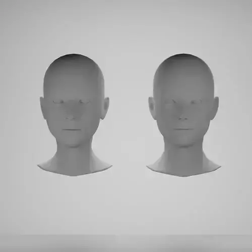 Female head base mesh 3D Model Collection