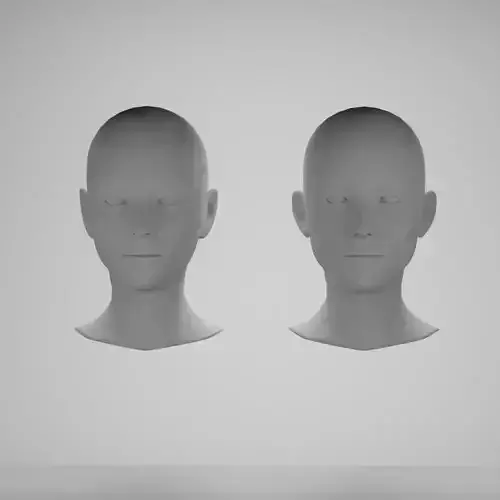 Female head base mesh 3D Model Collection