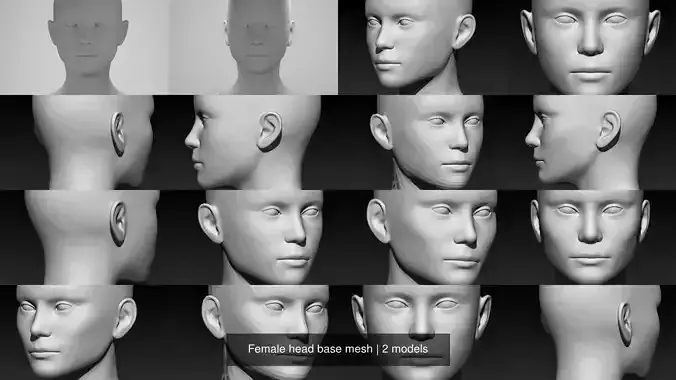 Female head base mesh
