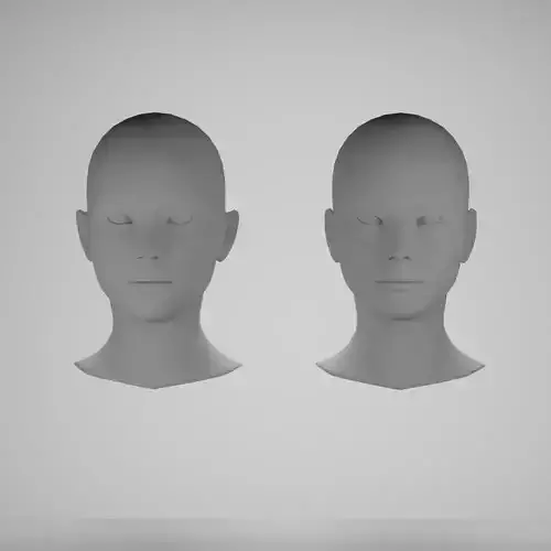 Female head base mesh 3D Model Collection