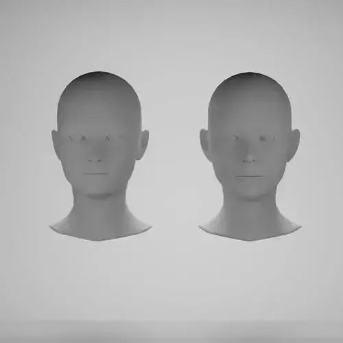 Female head base mesh 3D Model Collection