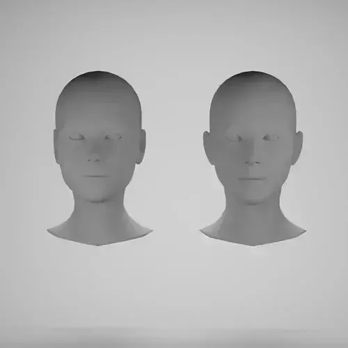 Female head base mesh 3D Model Collection