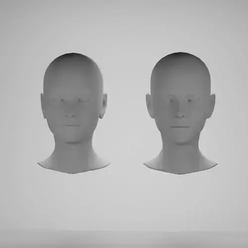 Female head base mesh 3D Model Collection