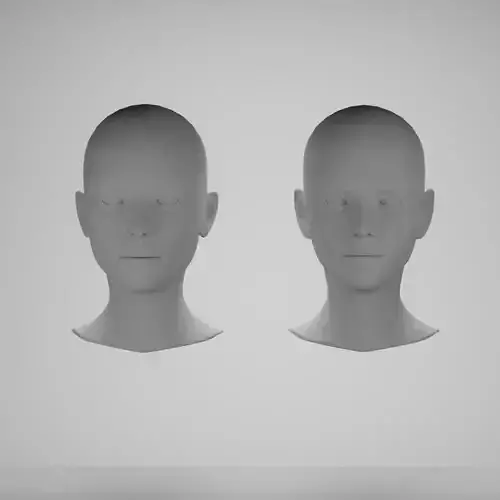 Female head base mesh 3D Model Collection