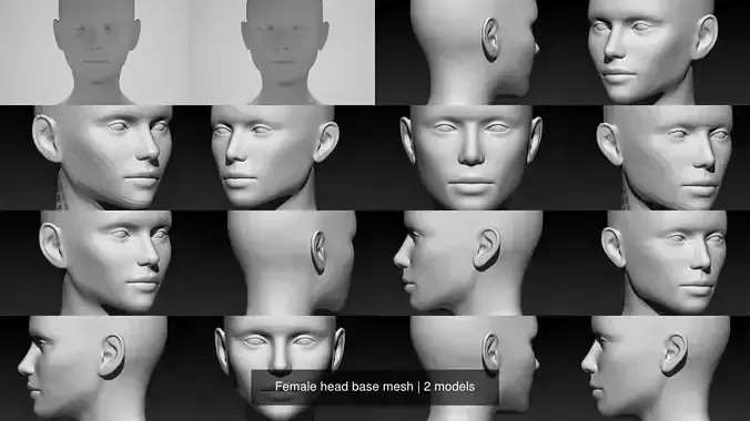Female head base mesh