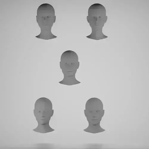 Base mesh 5 female heads 3D Model Collection