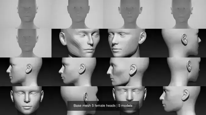 Base mesh 5 female heads