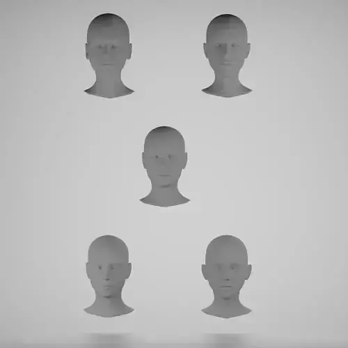 Base mesh 5 female heads 3D Model Collection