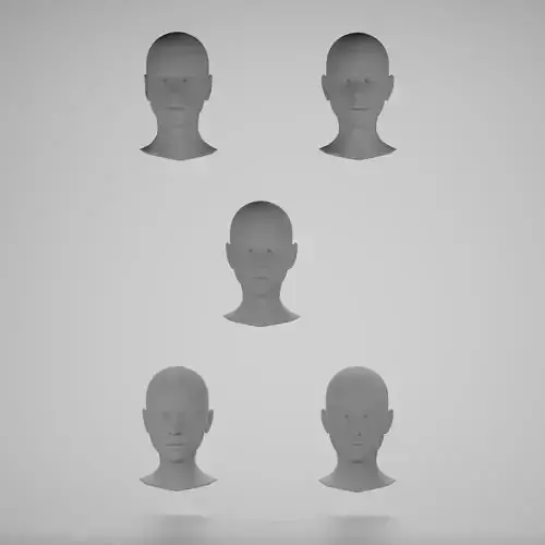 Base mesh 5 female heads 3D Model Collection
