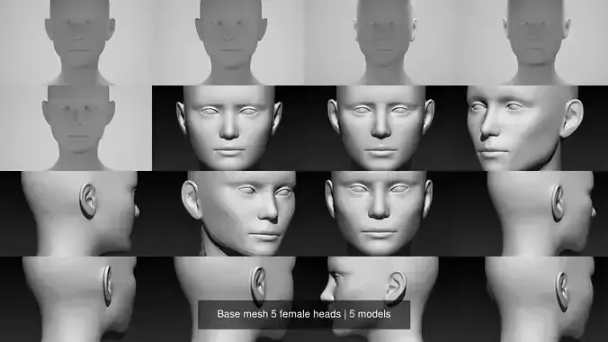 Base mesh 5 female heads